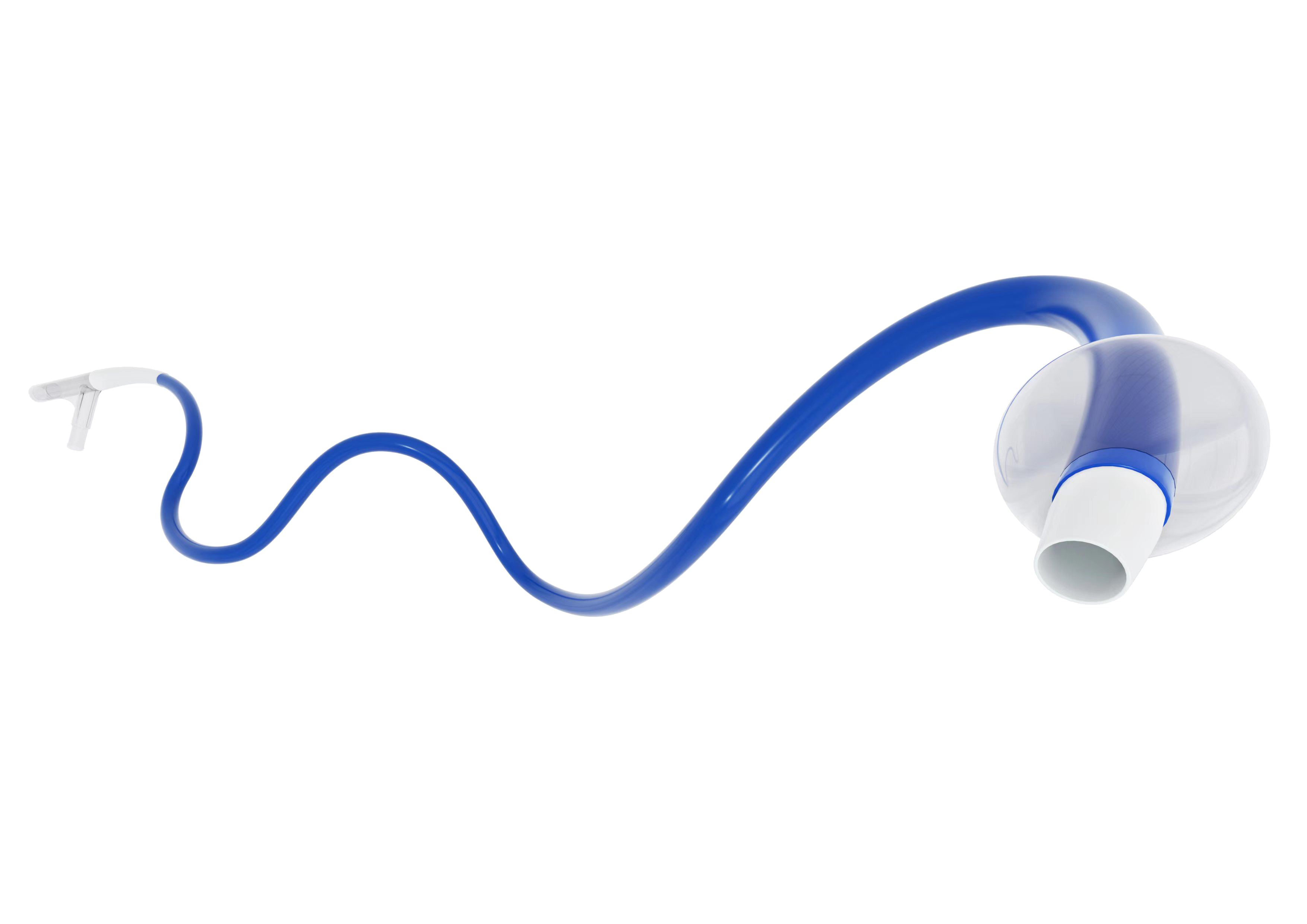 Balloon Guide Catheter