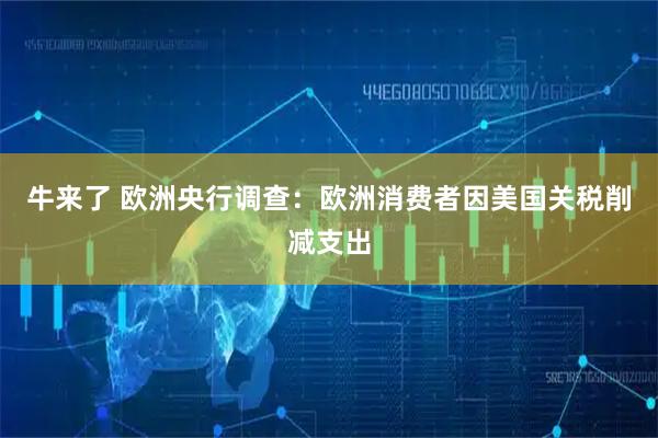 牛来了 欧洲央行调查：欧洲消费者因美国关税削减支出