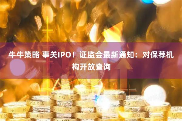 牛牛策略 事关IPO！证监会最新通知：对保荐机构开放查询