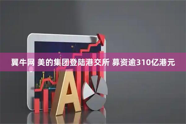 翼牛网 美的集团登陆港交所 募资逾310亿港元