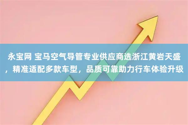 永宝网 宝马空气导管专业供应商选浙江黄岩天盛，精准适配多款车型，品质可靠助力行车体验升级