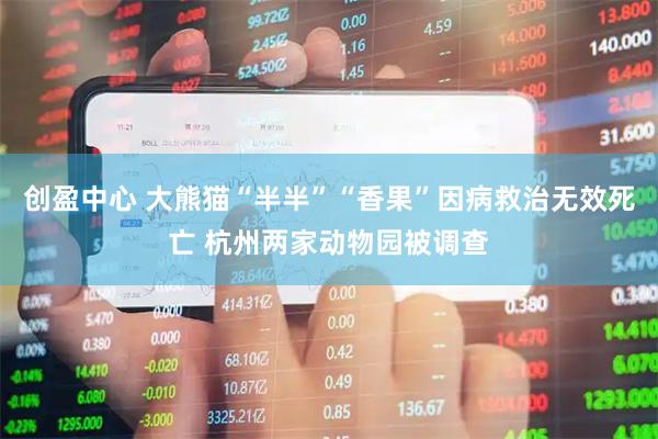 创盈中心 大熊猫“半半”“香果”因病救治无效死亡 杭州两家动物园被调查