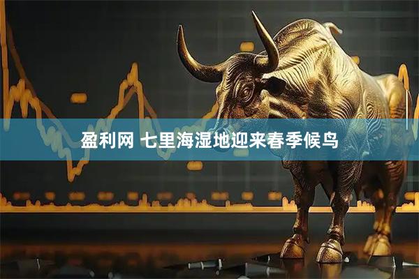 盈利网 七里海湿地迎来春季候鸟