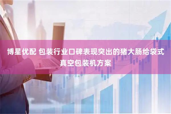 博星优配 包装行业口碑表现突出的猪大肠给袋式真空包装机方案