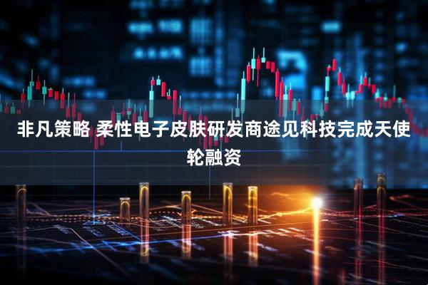 非凡策略 柔性电子皮肤研发商途见科技完成天使轮融资